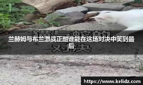 江南体育官方平台